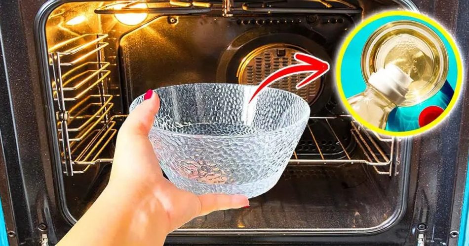 el truco para limpiar todo el horno con el método del bol quedará