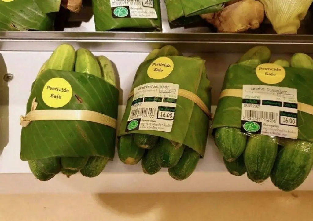 Hojas de plátano en lugar de bolsas de plástico la idea brillante para